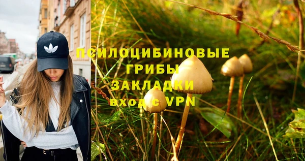наркотики Алексеевка