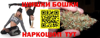 МДПВ Обь