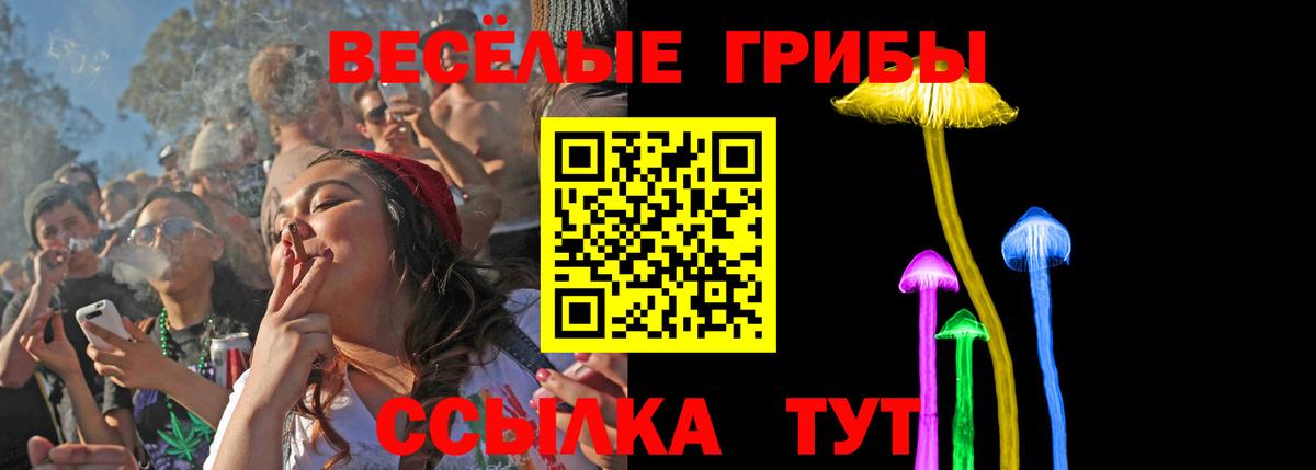 купить закладку  Галлюциногенные грибы GOLDEN TEACHER  Вход с VPN  Тайшет 